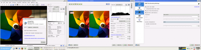 Showfoto for KDE4 loading a RAW picture