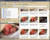Gwenview file filter, first version