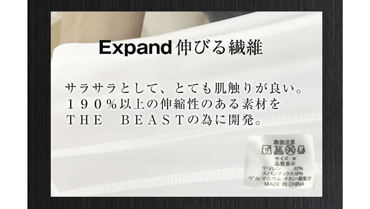 ビダンザビーストの効果的な使い方